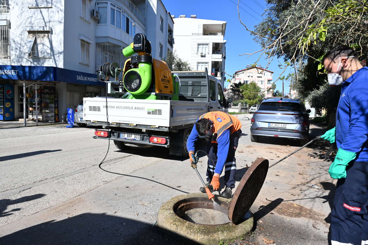 Antalya'da sivrisineklerle mücadele kış aylarından başladı 1